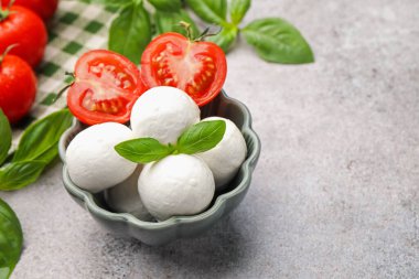 Lezzetli mozzarella peynir topları, domates ve fesleğen, yakın plan. Metin için boşluk