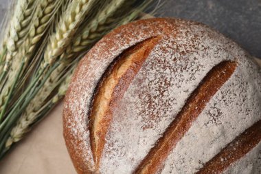Taze ekmek ve yeşil buğday çivileri gri masada, düz yerde.