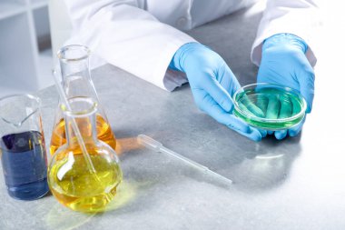 Laboratuardaki gri masada Petri kabını elinde tutan bilim adamı, yakın plan. Çözüm kimyası