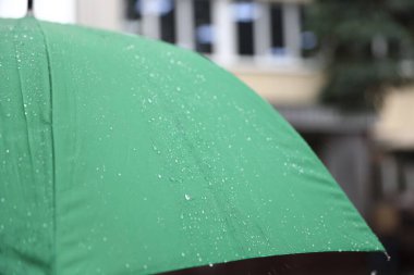 Sağanak yağmur altında yeşil şemsiye, yakın çekim.