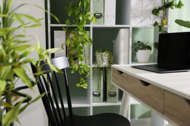 Biyofilik iç tasarım. Laptop ve ev bitkileriyle şık bir iş yeri.