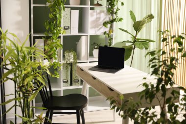 Biyofilik iç tasarım. Laptop ve ev bitkileriyle şık bir iş yeri.