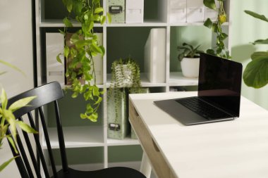 Biyofilik iç tasarım. Laptop ve ev bitkileriyle şık bir iş yeri.