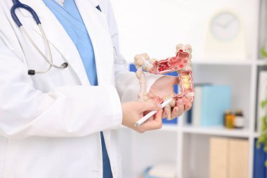 Gastroenterolog klinikte kalın bağırsak modeli gösteriyor.