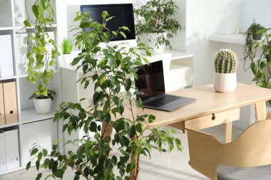 Ofisinde dizüstü bilgisayarı ve çiçek dekoru olan şık bir iş yeri. Biyofilik iç tasarım