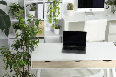 Dizüstü bilgisayarı, modern bilgisayarı ve çiçek dekoru olan şık bir iş yeri. Biyofilik iç tasarım