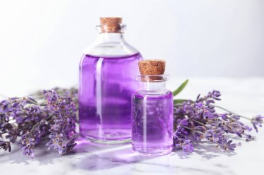 Şişelerdeki Aromatik yağ ve beyaz mermer masadaki lavanta çiçekleri açık gri arka planda, yakın plan