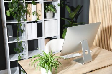 Ofisinde modern bilgisayar ve çiçek dekoru olan şık bir iş yeri. Biyofilik iç tasarım