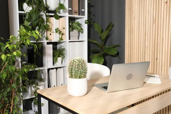 Ofisinde dizüstü bilgisayarı, kırtasiyesi ve çiçek dekoru olan şık bir iş yeri. Biyofilik iç tasarım