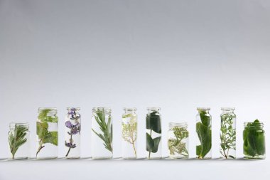 Açık gri arkaplan üzerinde farklı bitkiler bulunan temel yağlar