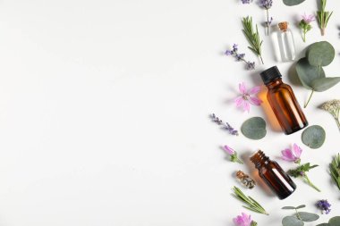 Temel yağlar ve beyaz arka planda farklı bitkiler. Metin için boşluk