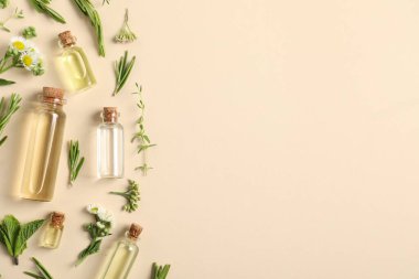 Temel yağlar ve bej arka planda farklı bitkiler. Metin için boşluk