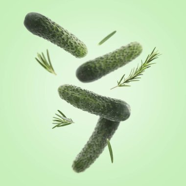 Taze salatalıklar ve biberiye akuamarin renk arkaplanına çarpıyor