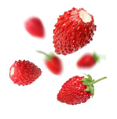 Taze olgun yabani çilekler beyaz arka planda