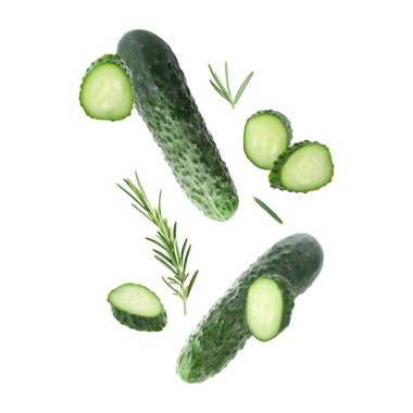 Beyaz arka plana düşen taze salatalıklar ve biberiye.