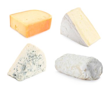 Beyazda ve sette izole edilmiş peynir çeşitleri