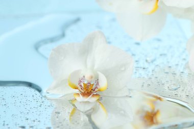 Güzel orkide çiçekleri ve su damlaları ayna yüzeyine, yakın çekim