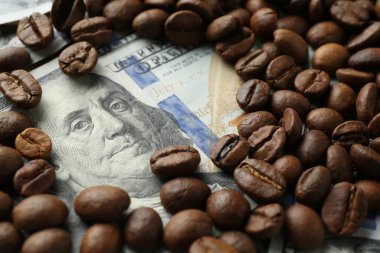 Dolarlık banknot ve kahve çekirdekleri masada, yakın plan.