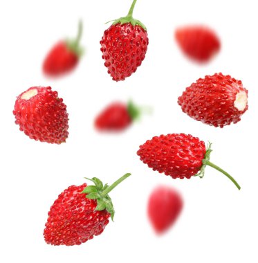 Taze olgun yabani çilekler beyaz arka planda