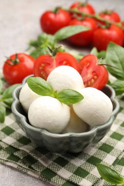 Lezzetli mozzarella peynir topları, domates ve fesleğen, yakın plan.