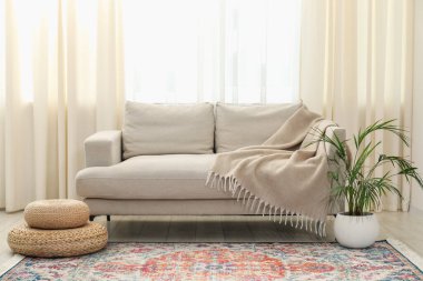 Mobilya ve pencere kenarındaki oturma odasında perdeleri olan ev bitkisi. İç tasarım