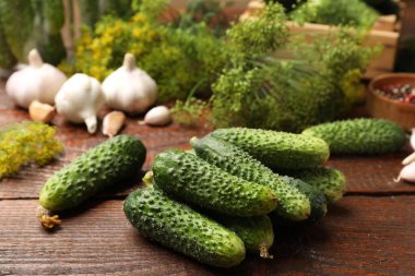 Turşu yapıyorum. Taze salatalık ve baharatlar ahşap masada, yakın plan.