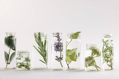 Açık gri arkaplan üzerinde farklı bitkiler bulunan temel yağlar