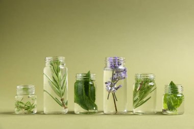 Yeşil zemin üzerinde farklı bitkiler bulunan temel yağlar