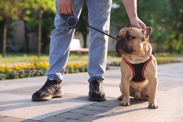 Man with his cute French bulldog in park, closeup