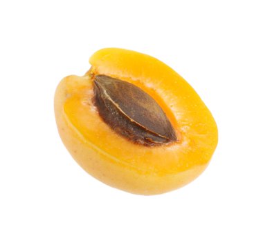 Taze olgun kayısı çekirdeği beyaza izole edilmiş