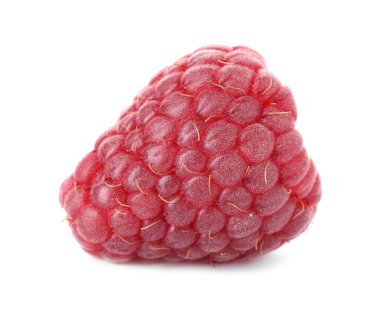 Beyaza izole edilmiş taze bir ahududu.