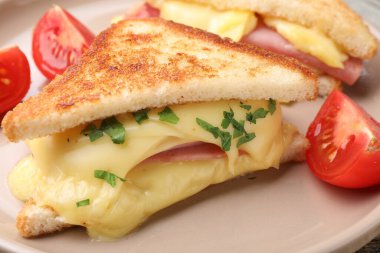 Eritilmiş peynirli, jambonlu ve domatesli lezzetli sandviçler, yakın plan.