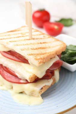 Eritilmiş peynirli ve jambonlu lezzetli sandviç, yakın plan.