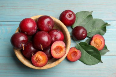 Olgun kiraz erikleri, kase ve yeşil yapraklar açık mavi ahşap masa, düz uzanmış