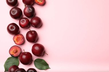 Tam, vişneli erikler ve pembe arka planda yeşil yapraklar, düz yatış. Metin için boşluk