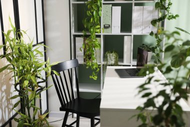 Biyofilik iç tasarım. Laptop ve ev bitkileriyle şık bir iş yeri.