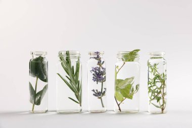 Açık gri arkaplan üzerinde farklı bitkiler bulunan temel yağlar