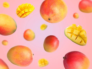 Havada dönen tatlı mango meyveleri pembe eğimli arka planda