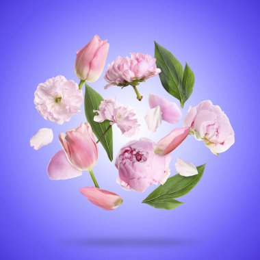 Gökyüzündeki güzel bahar çiçekleri ve taç yaprakları mavi menekşe arka planına karşı