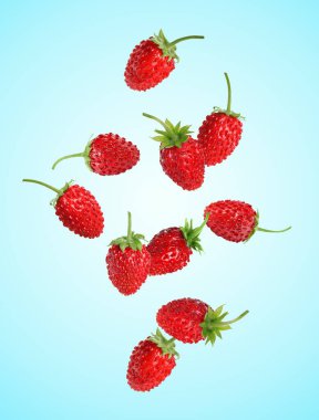 Taze olgun yabani çilekler açık mavi arka plana doğru düşüyor.