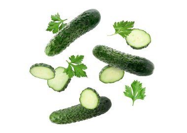 Beyaz arka plana düşen taze salatalık ve maydanoz.