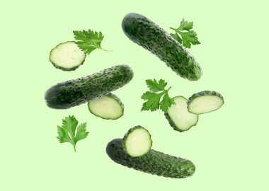 Taze salatalık ve maydanoz açık yeşil zemine düşüyor.