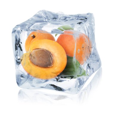 Buzun içindeki olgun kayısı meyveleri beyaza izole edilmiş. Donmuş yiyecekler