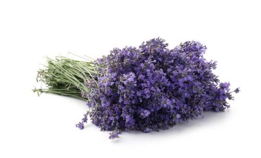 Beyaz bir demet güzel lavanta çiçeği