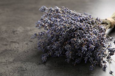 Gri masadaki aromatik lavanta çiçekleri, yakın plan. Metin için boşluk