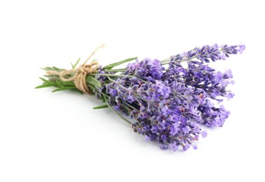 Beyaz bir demet güzel lavanta çiçeği