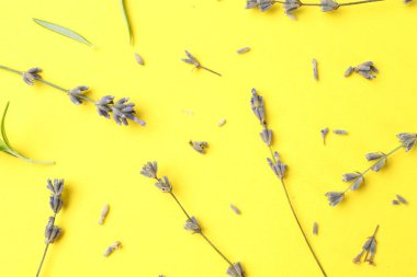 Kokulu lavanta çiçekleri ve sarı arka planda yapraklar.