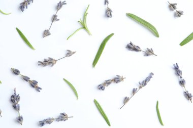 Beyaz arka planda kokulu lavanta çiçekleri ve yeşil yapraklar.