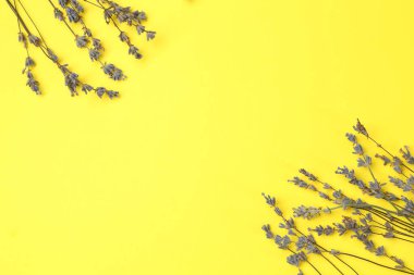 Sarı arka planda lavanta çiçekleri, düz bir zemin. Metin için boşluk