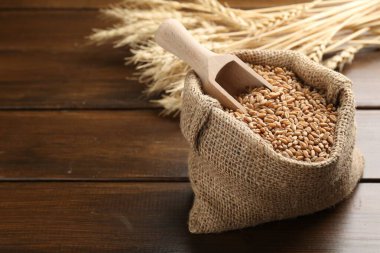 Çuval bezinde buğday taneleri, tahta masada kepçeler ve çiviler, yakın plan. Metin için boşluk